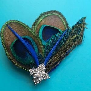 Peacock Feather Brooch